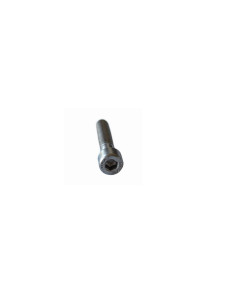 Allen varžtai su cilindrine galva A2 M8x40mm