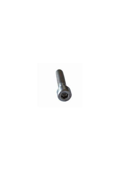 Allen varžtai su cilindrine galva A2 M8x40mm