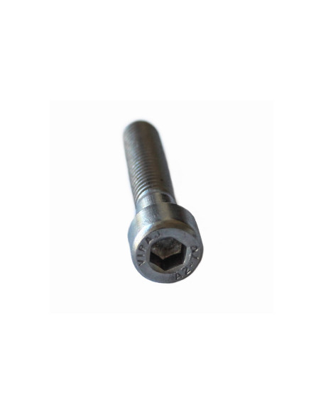 Allen varžtai su cilindrine galva A2 M8x45mm
