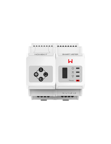 GoodWe HK3000